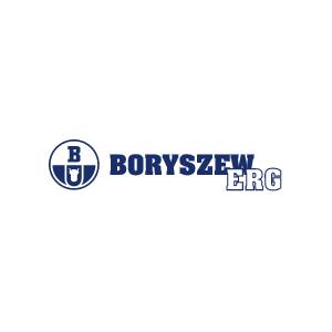 Płyn chłodniczy borygo 5l - Producent płynów samochodowych  - Boryszew ERG